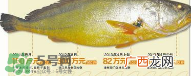 孕妇能吃金钱鳖吗？怀孕期间能不能吃金钱鳖？