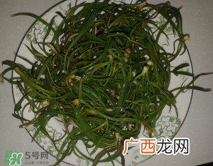 阳沟菜孕妇可以吃吗？孕妇能吃阳沟菜吗？