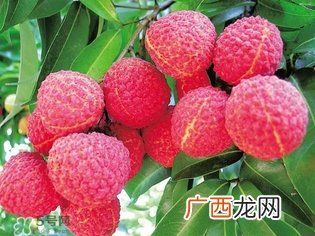 孕妇吃荔枝上火了怎么办？孕妇吃荔枝对胎儿好吗