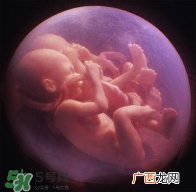 胎儿在妈妈肚子里都会干啥？胎儿的神奇世界
