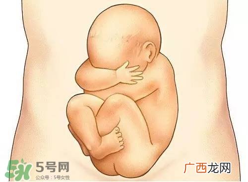 胎儿在妈妈肚子里都会干啥？胎儿的神奇世界