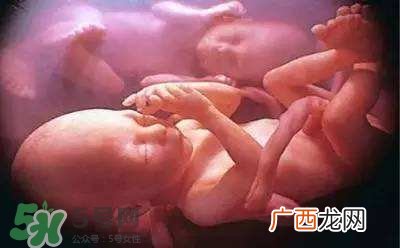 胎儿在妈妈肚子里都会干啥？胎儿的神奇世界
