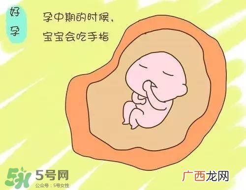 胎儿在妈妈肚子里都会干啥？胎儿的神奇世界