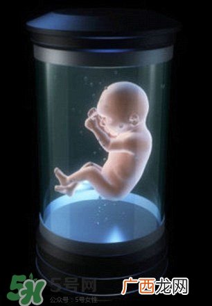 人造子宫能生孩子吗？人造子宫成功案例