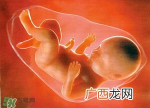人造子宫能生孩子吗？人造子宫成功案例