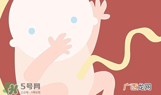胎儿发育关键时期是什么时候？胎儿发育黄金期