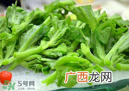 冰菜孕妇能吃吗？孕妇能不能吃冰菜？