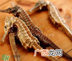 孕妇能吃海马吗？孕妇能不能吃海马？