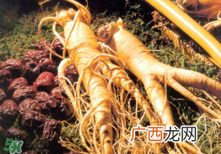 孕妇能吃人参吗？孕妇可以吃人参吗？