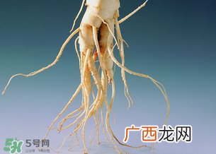 孕妇能吃人参吗？孕妇可以吃人参吗？