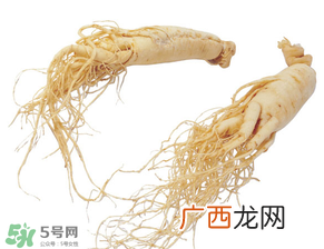 孕妇能吃人参吗？孕妇可以吃人参吗？