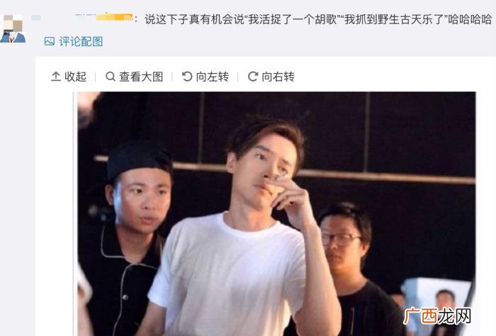 古天乐胡歌，古天乐胡歌做公益获世界生态学表扬