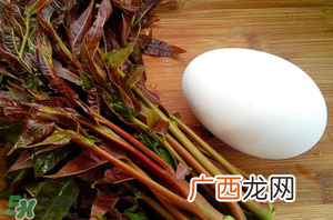 孕妇能吃春芽炒鹅蛋吗？香椿炒鹅蛋孕妇能吃吗？
