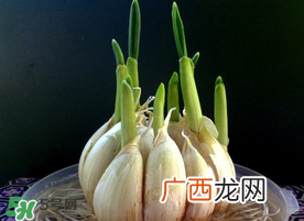 孕妇能吃大蒜吗？孕妇可以吃生大蒜吗？