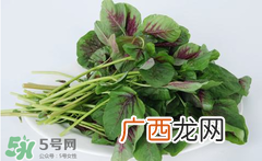 孕妇能吃苋菜吗？孕妇可以吃苋菜吗？