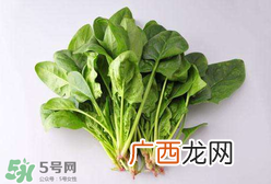 孕妇可以吃菠菜吗？孕妇菠菜吃多了会怎样？