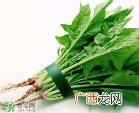 孕妇可以吃菠菜吗？孕妇菠菜吃多了会怎样？