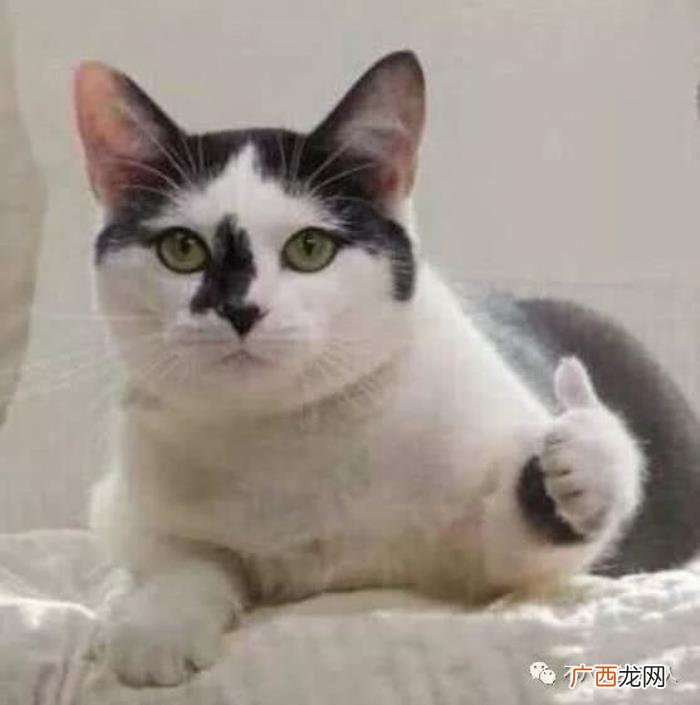 李宇春颜值，比起杨幂脸崩李宇春的颜值才是亮点