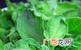 孕妇可以吃冰草吗？冰草对孕妇有什么好处？