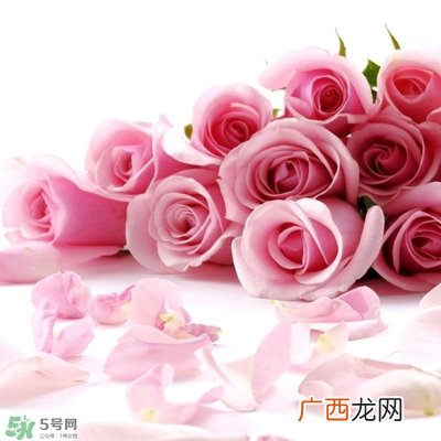 孕妇不能碰那些花 孕期避开的花有哪些