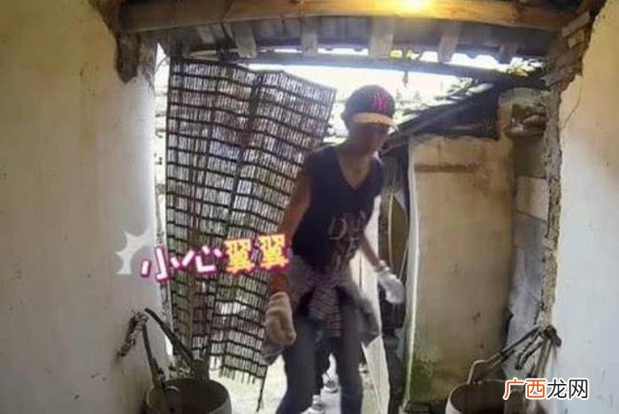 韩雪与胡歌，韩雪被问及最帅男明星搬胡歌当救兵