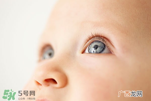 孕妇吃什么对宝宝眼睛好 对宝宝眼睛好的食物有哪些