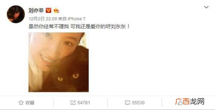 宋承宪微博，网友说宋承宪在她微博里地位还不如一只猫