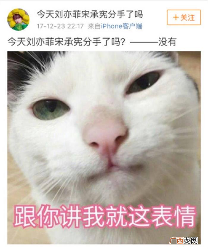 宋承宪微博，网友说宋承宪在她微博里地位还不如一只猫