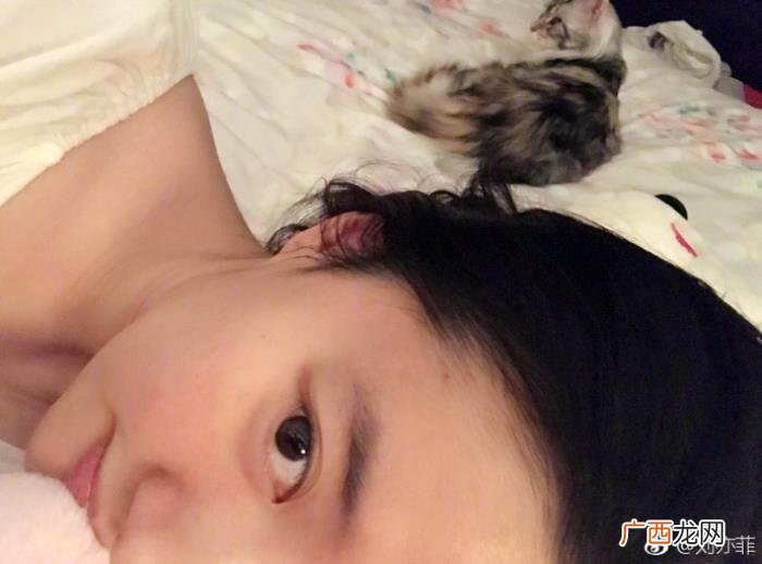 宋承宪微博，网友说宋承宪在她微博里地位还不如一只猫