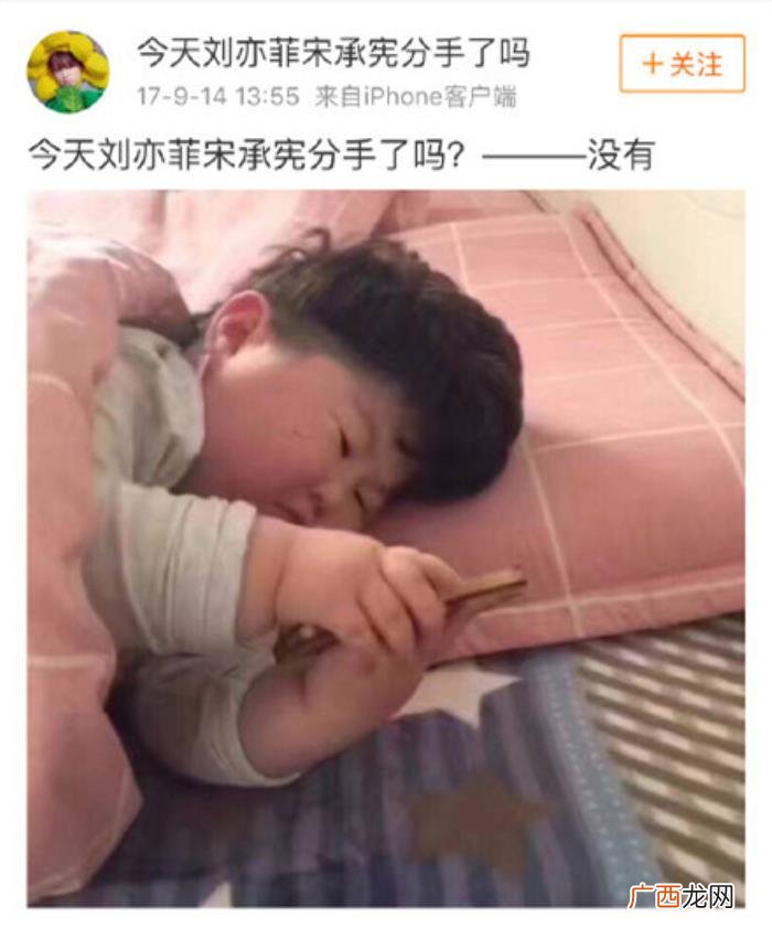 宋承宪微博，网友说宋承宪在她微博里地位还不如一只猫