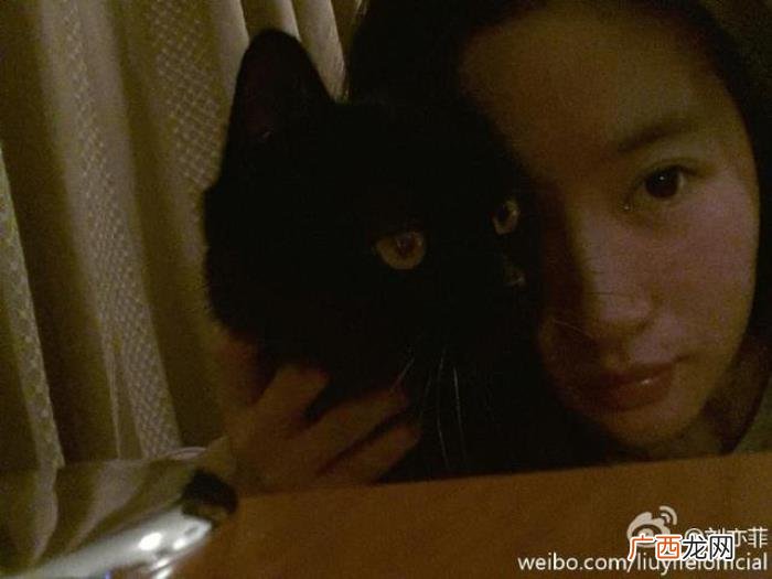 宋承宪微博，网友说宋承宪在她微博里地位还不如一只猫