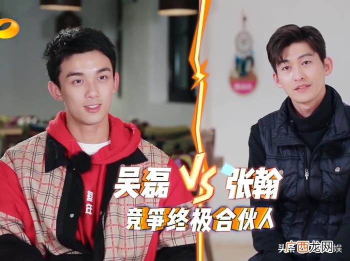怎么评价吴磊，陈翔对吴磊和张翰的这段评价很到位
