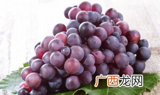 神经衰弱吃什么 神经衰弱吃什么食物好