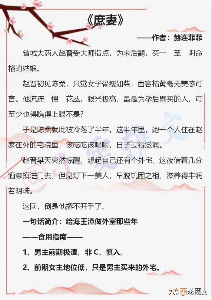前夫他后悔了 前夫后悔的小说