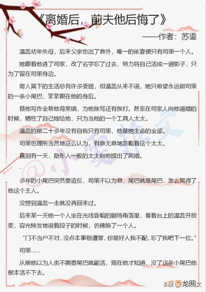 前夫他后悔了 前夫后悔的小说