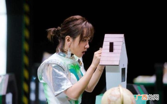 杨蓉为啥不红，杨蓉为何综艺不断演技不赖却一直不红