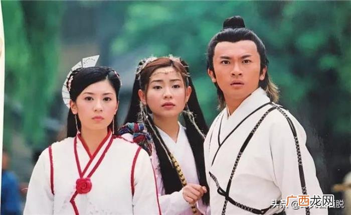 丁丁喜欢王力宏，丁丁当众表白王力宏