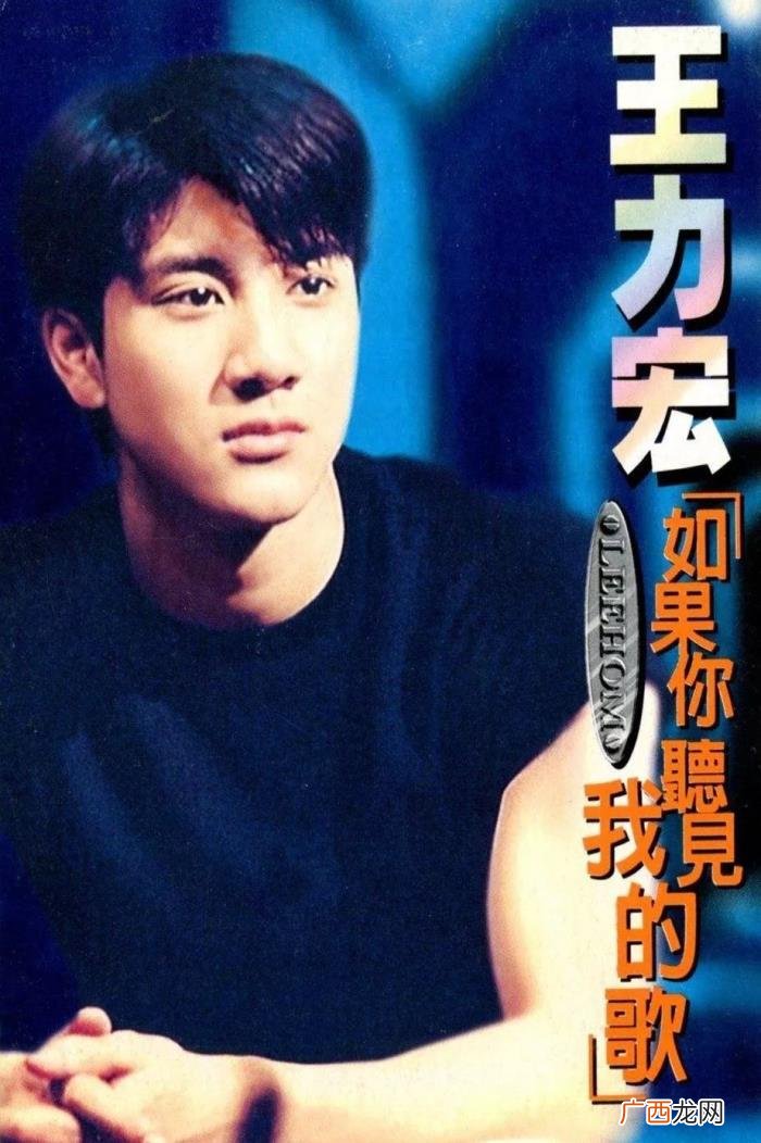 我就喜欢王力宏，怎么会有人不喜欢王力宏啊