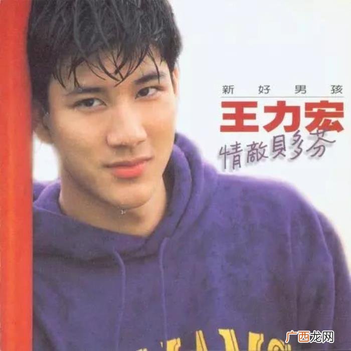 我就喜欢王力宏，怎么会有人不喜欢王力宏啊