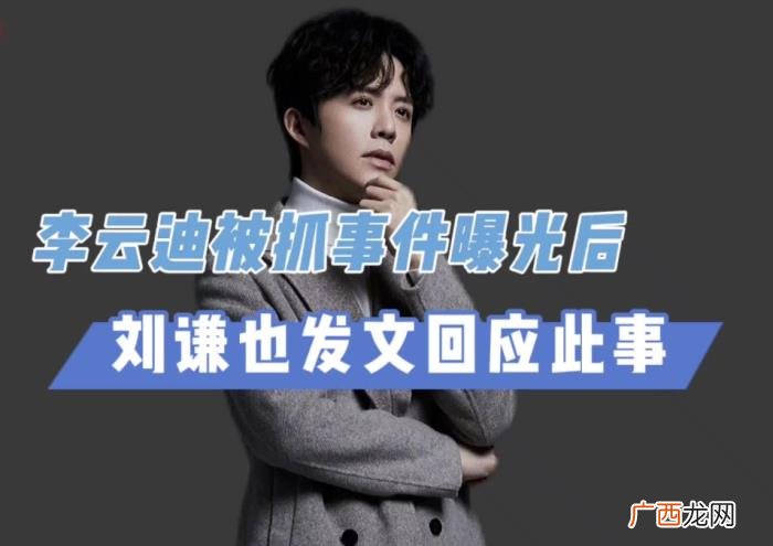王力宏李云迪cp，李云迪被捕宏迪CP不攻自破