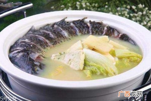 发奶汤有哪些 发奶催乳食谱