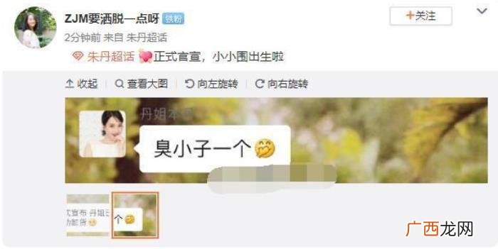 39岁朱丹高龄产子 朱丹个人资料简介