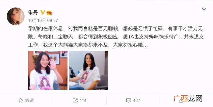 39岁朱丹高龄产子 朱丹个人资料简介