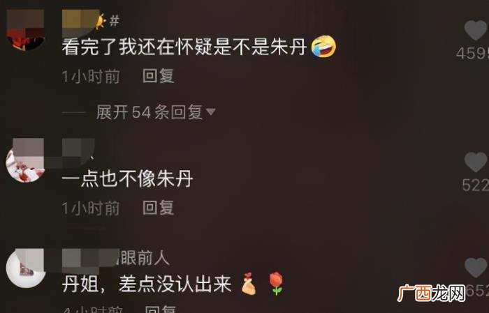 39岁朱丹高龄产子 朱丹个人资料简介