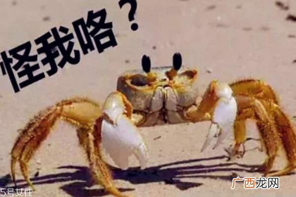 6个月的宝宝可以吃蛋黄吗 吃蛋黄要注意这些