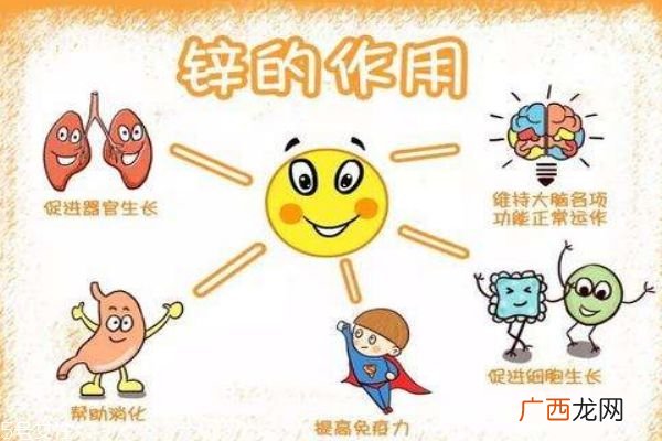 宝宝缺锌是什么引起的 8个方面要留心