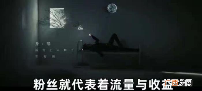 华晨宇为什么不接受张碧晨，华晨宇张碧晨为何不结婚