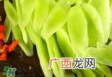诺如病毒患者能哺乳吗?感染诺如病毒可以哺乳吗?