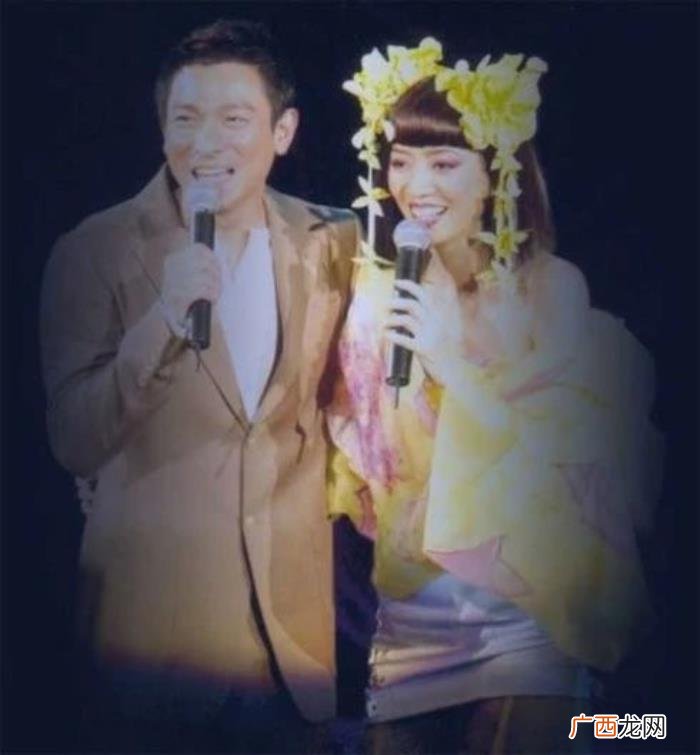 刘德华与梅艳芳最后一次合唱，刘德华与梅艳芳合唱了一首
