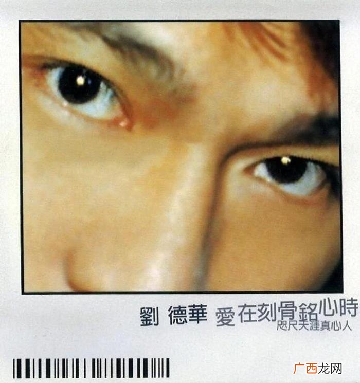 刘德华与梅艳芳最后一次合唱，刘德华与梅艳芳合唱了一首
